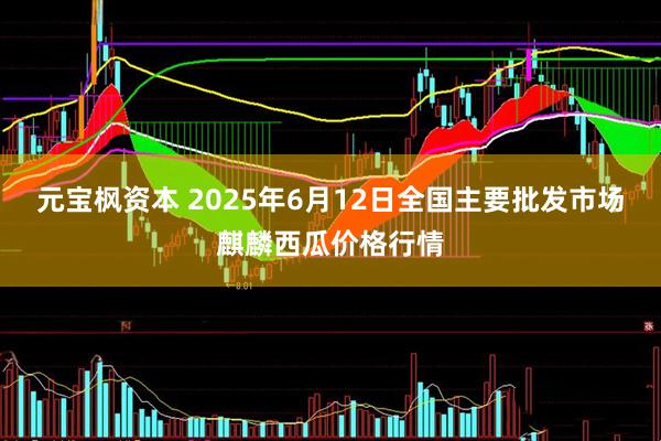 元宝枫资本 2025年6月12日全国主要批发市场麒麟西瓜价格行情