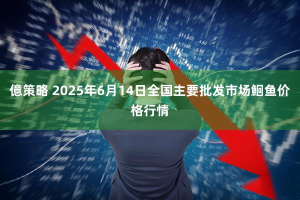 億策略 2025年6月14日全国主要批发市场鮰鱼价格行情