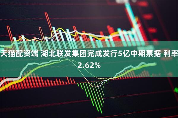 天猫配资端 湖北联发集团完成发行5亿中期票据 利率2.62%