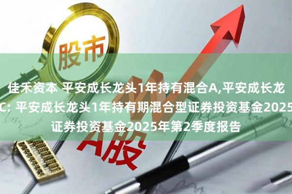佳禾资本 平安成长龙头1年持有混合A,平安成长龙头1年持有混合C: 平安成长龙头1年持有期混合型证券投资基金2025年第2季度报告